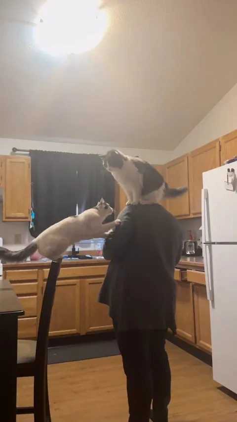 Someone is jealous that she’s .not on her shoulders