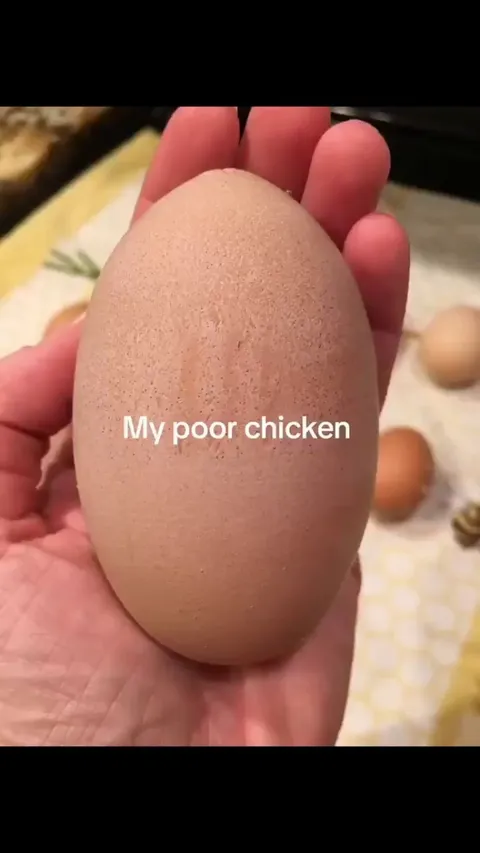 Getting an egg inside an egg is absolutely crazy.