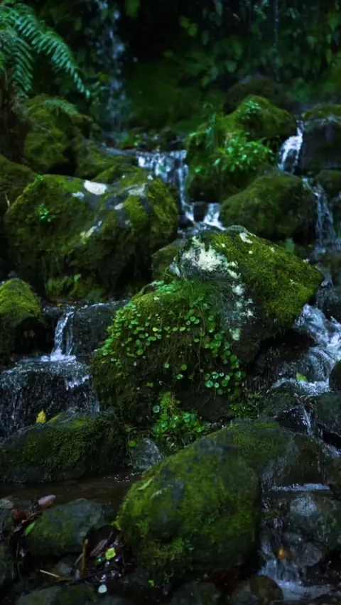 Relaxing and rejuvenating waterfall (not mine)