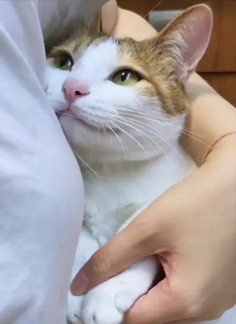 i need this psychologist in my life