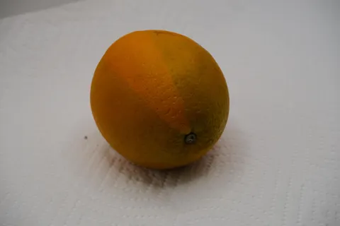 Bought an orange but only one slice ripened