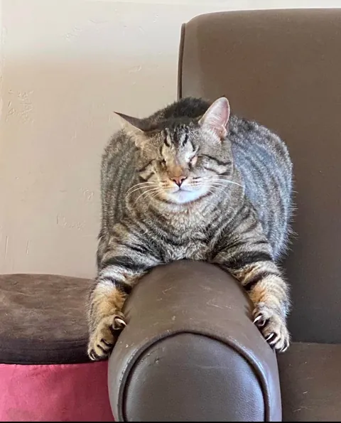 Said goodbye to my eyeless boy