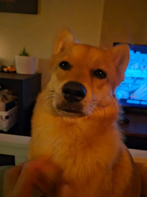 My bestest buddy Felix