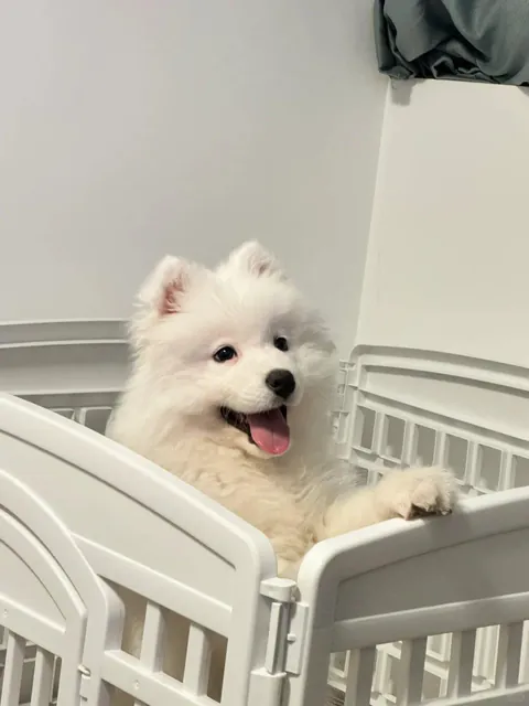 smile for the camera baby