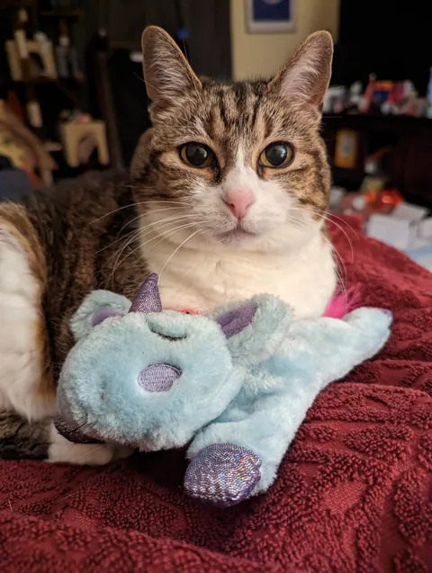 My Best Friend Sarah