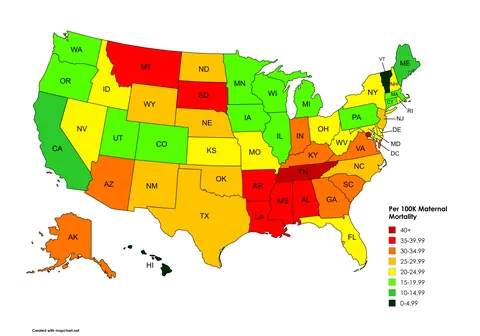 [OC] Total mortality, maternal mortality and amount poverty by state