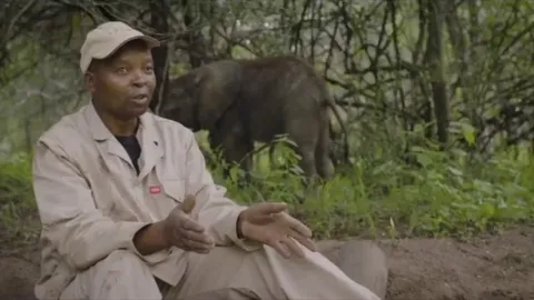 🔥 A young elephant hears his name and decides to interrupt an interview 