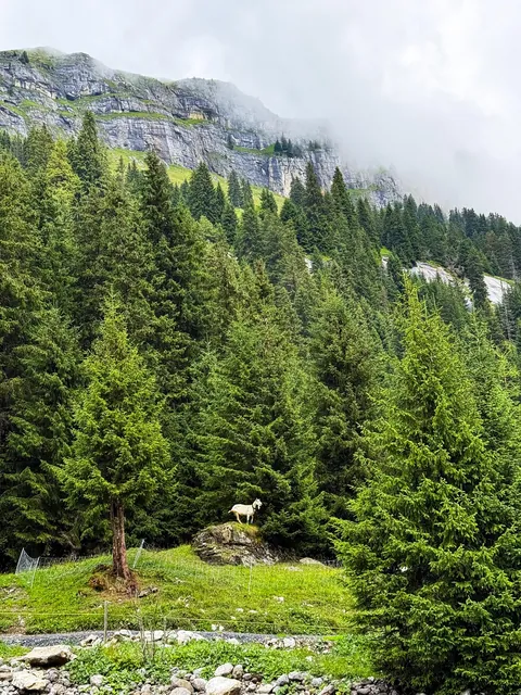 2 weeks hiking &amp; summer skiing in Switzerland August 2025 - Lauterbrunnen, Grindelwald, Thun, Zermatt, Lucerne