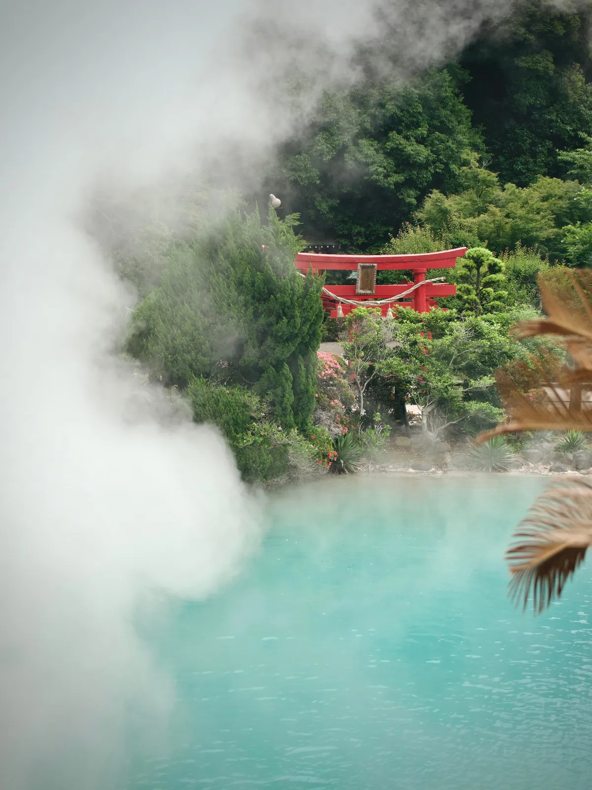 Exploring Japan… As a Japanese Person