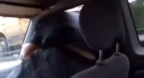 Guy performs GTA stunt… to avoid a $150 tow fee