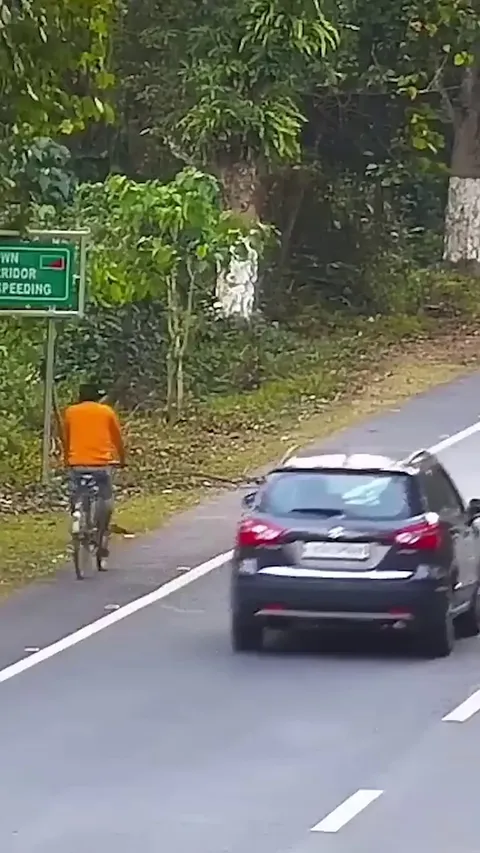 Leopard Knocks Over Cyclist in India