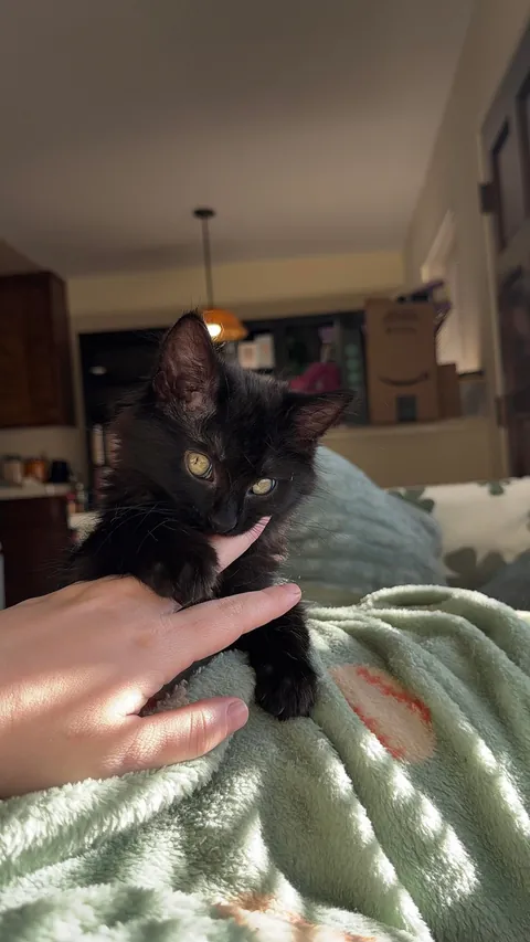 What would you name her?