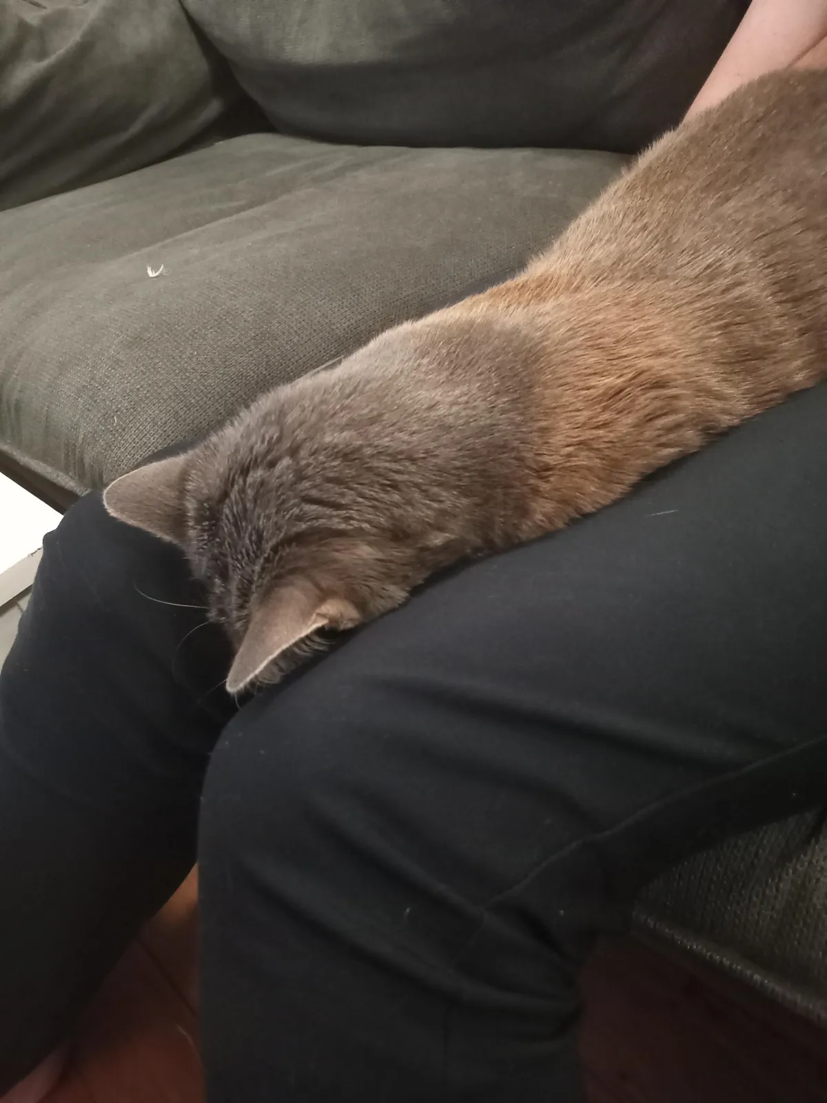 FACE DOWN, IN THE GAP, THAT'S THE WAY WE LIKE TO NAP