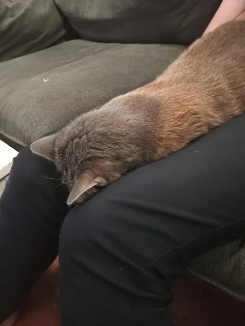 FACE DOWN, IN THE GAP, THAT'S THE WAY WE LIKE TO NAP