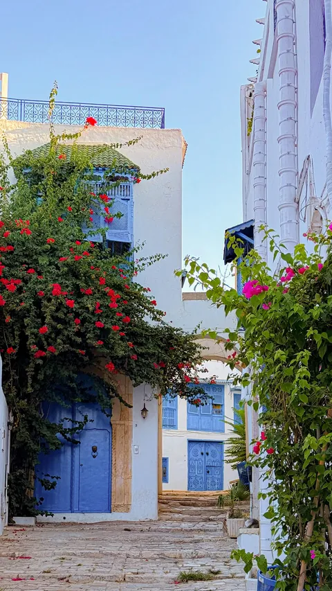 A week in Tunisia 🇹🇳