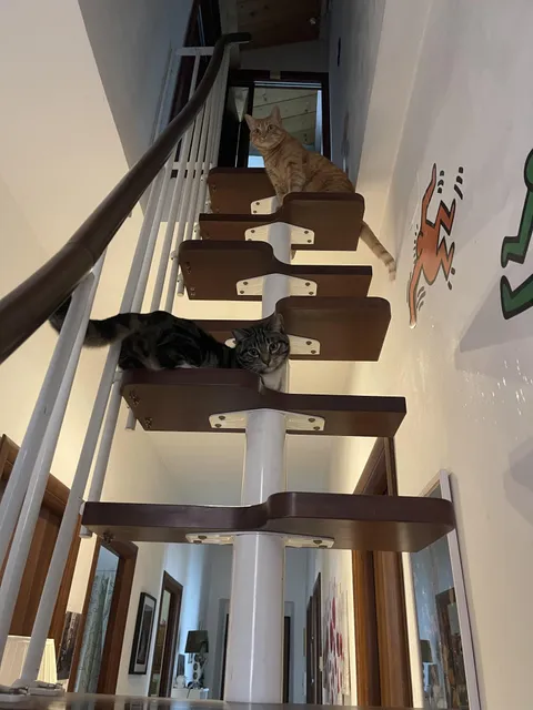 What do you think about this staircase in my home? Architects told my parents this was the best solution to fit the small space.