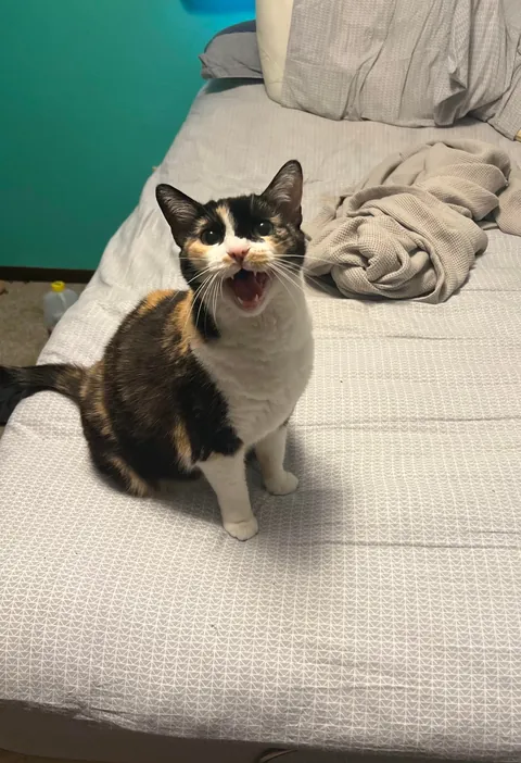 Saying goodbye to my best friend this evening