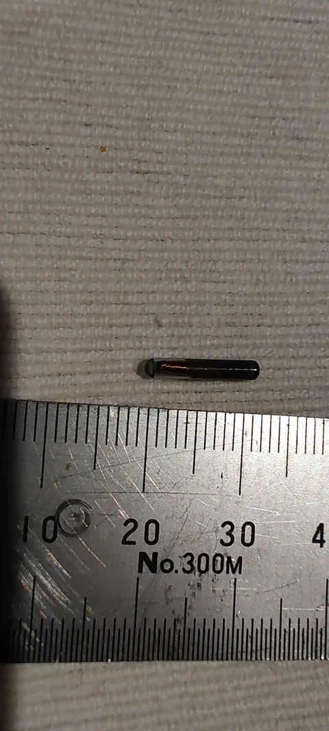 Found a tracker (I think) in a side of salmon