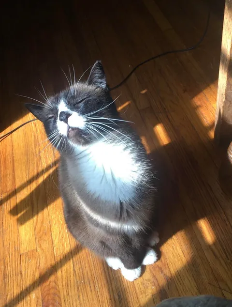My old man enjoying the sunshine.