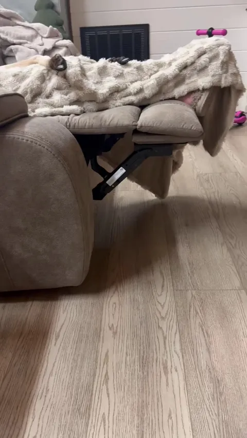 Dont touch mommy 🦘