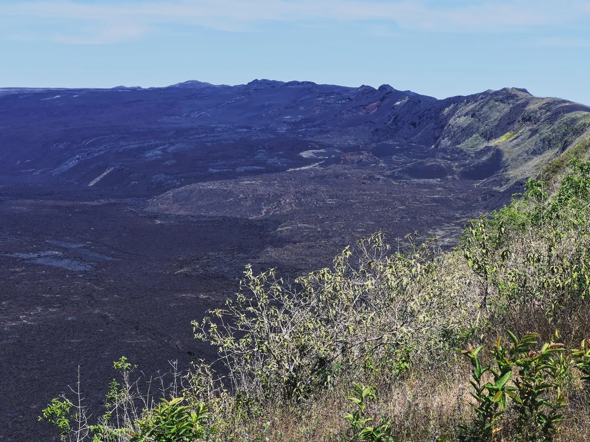 5 days in Galapagos in Sep 2025.