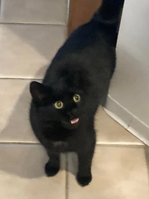 Breakfast is normally served at 8:00 AM on Saturday. Katie helpfully notes that it is 7:55. 