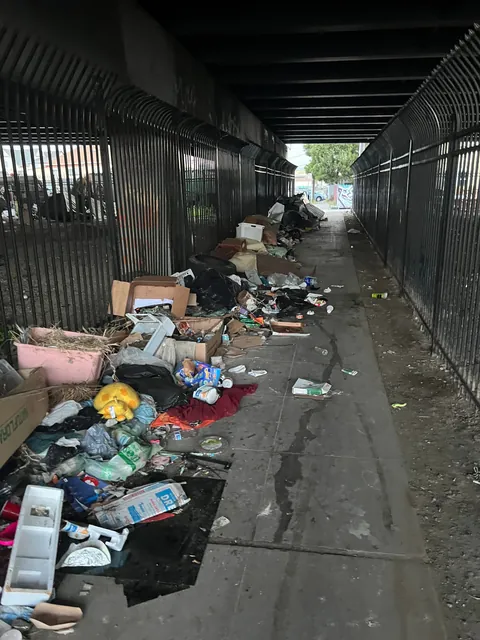 As a sole volunteer, I work in my free time to help remove illegal dumping across the San Francisco Bay Area