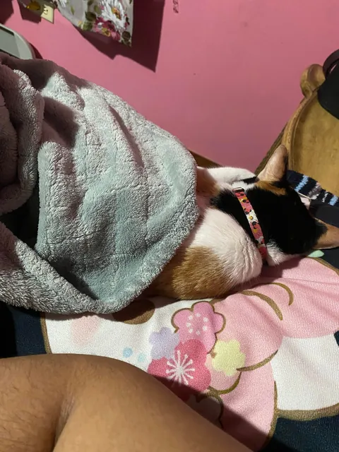 She saved me from committing suicide and gave me a reason to live.