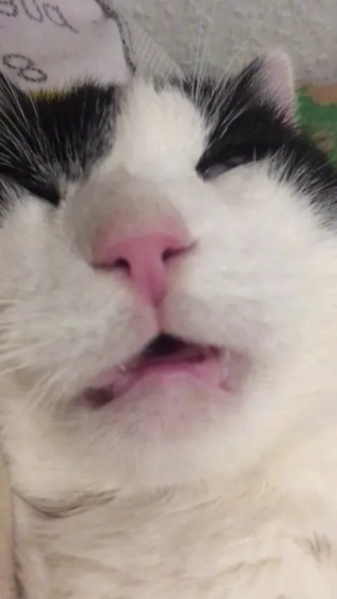 He would always snore like a divorced dad