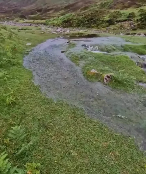 Discovering a Newly Formed Natural Spring