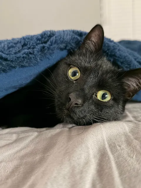 It Feels Like You Blink—Then Suddenly They’re Full-Sized!