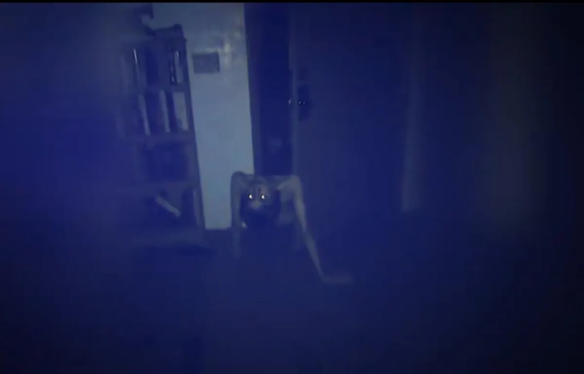 An unsettling visitor