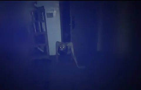 An unsettling visitor