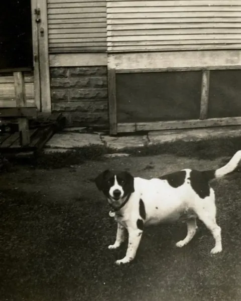 The original SNOOPY and his owner Charles Schulz.