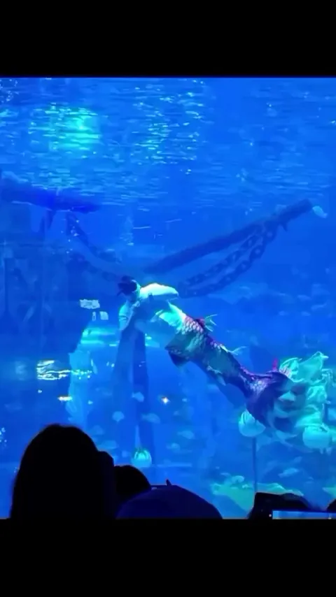 Merman Special move 😳