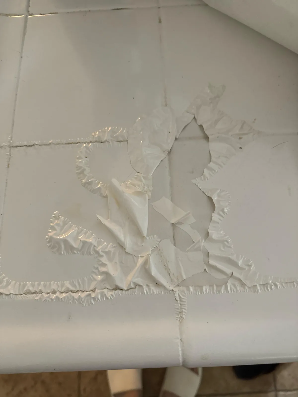 Yesterday I asked about this but didn’t have a pic, please help