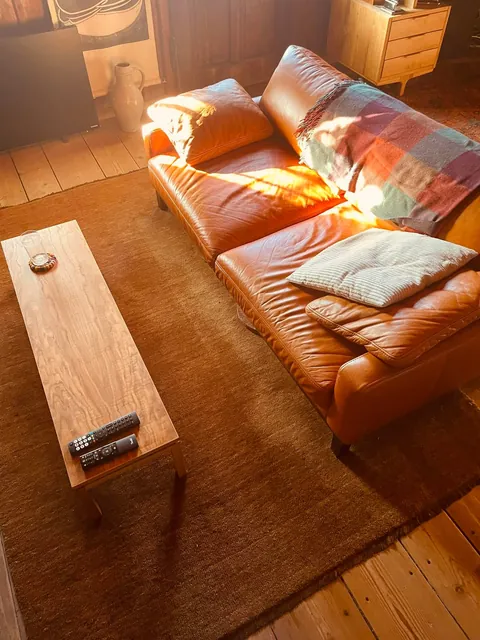 morning sun hitting my wood-paneled home office