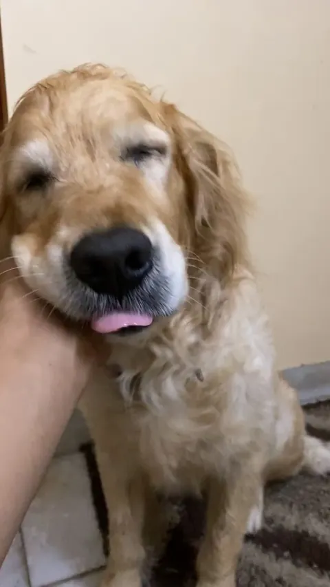 She just loves some ear scrubs