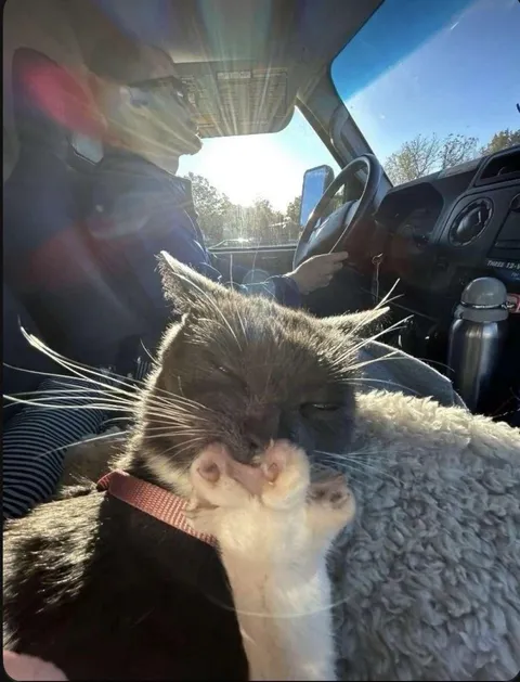 Utterly submerged in the sauce