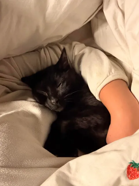The best way to go to sleep 🥰