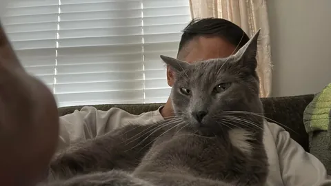 I went on a 10-day vacation. He has been pooping outside his litter box in protest. Can you all shame this criminal?