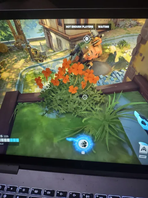 So I searched for and found all uses of this four leaf clover asset on Eichenwald, locations all pictured here.