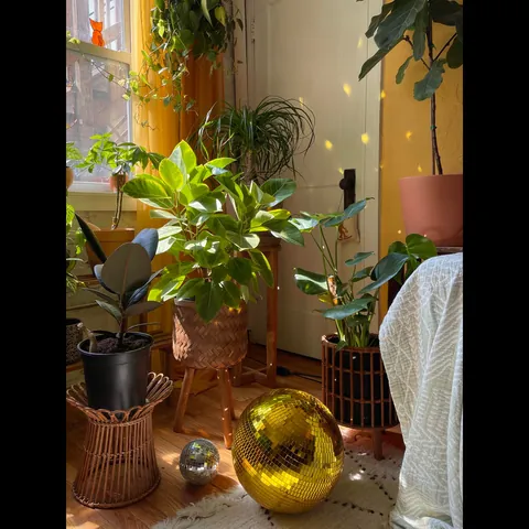 Finally finished decorating my cozy garden unit in Chicago, IL!