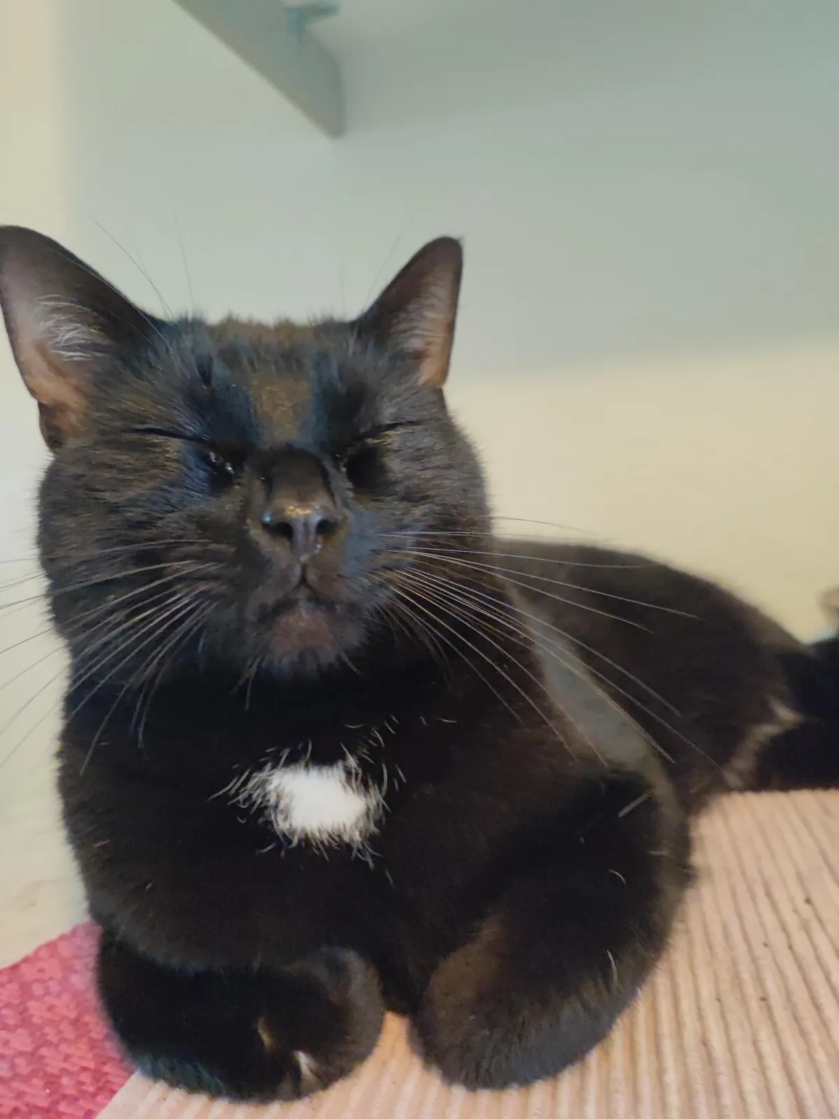 He found me crying . He crew too . We both crode 😭 aka I told him to stay away from the kitchen while I make french onion soup