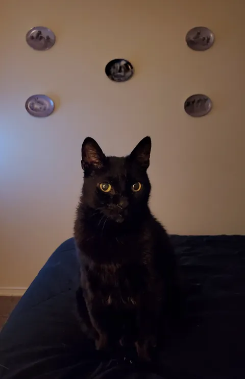 Tomorrow morning, I'll say goodbye to my friend of nearly 20 years 😢