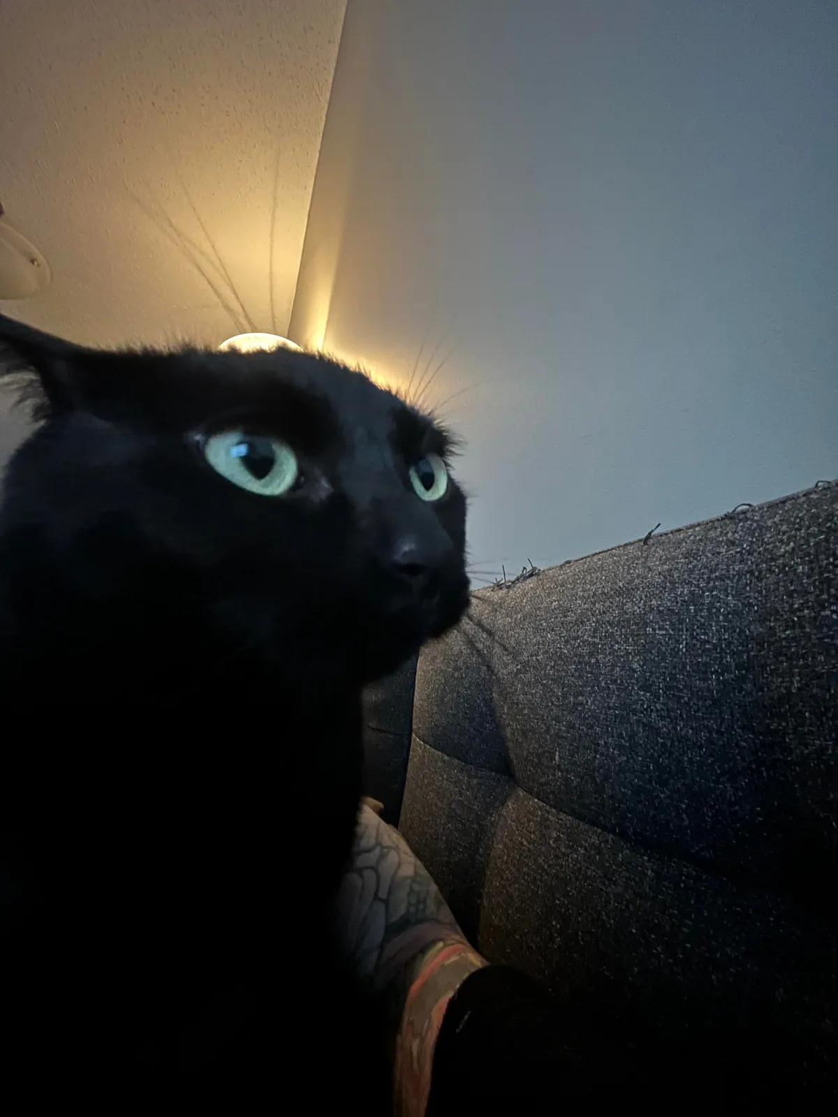 She's upset that dinner is at 7pm not 4pm