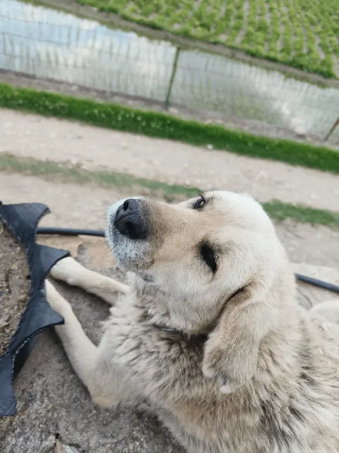 Bhutan, the country that changed my perspective towards life...