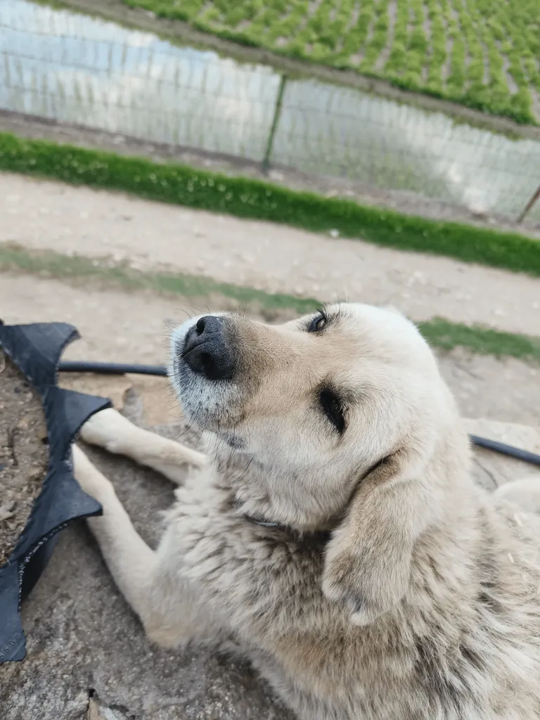 Bhutan, the country that changed my perspective towards life...