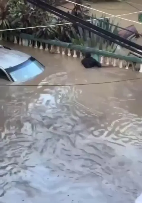 A dog gets rescued by a person in Mexico which is currently experiencing severe weather which has killed 44 people.