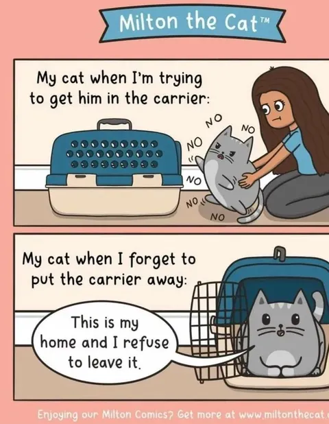 Cat vs Carrier